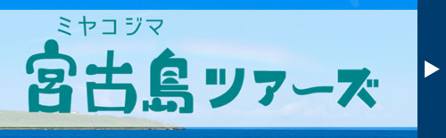 宮古ツアーズ